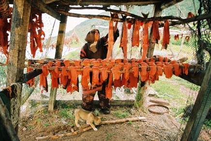 http://aborigen-kamchatki.ru/upload/000/u2/003/9713aa6a.jpg