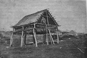 Юкольник